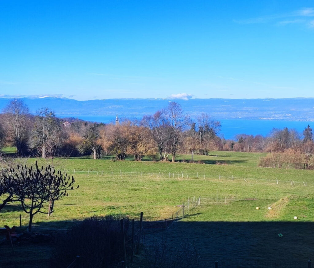 Maison individuelle Saint Paul en Chablais – 7 pièces – 3 chambres – 6  – 164 m²