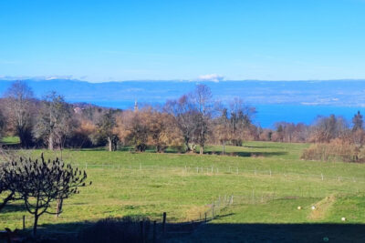 Maison individuelle Saint Paul en Chablais – 7 pièces – 3 chambres – 164 m²