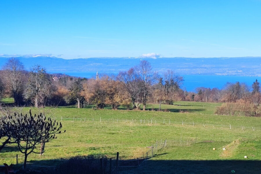 Maison à vendre à Saint-paul-en-chablais
