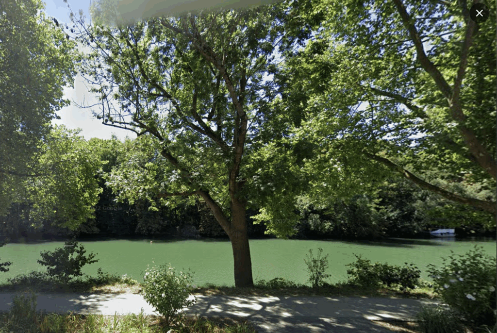 Le Perreux Sur Marne (94) – Bords de Marne – Maison d’Archit – 11 pièces – 4 chambres – NR  – 330 m²