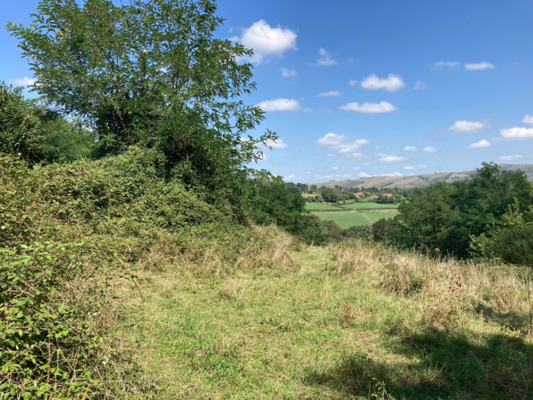 Très beau terrain constructible de 2153m2 – NR pièces – NR chambres – 2153 m²