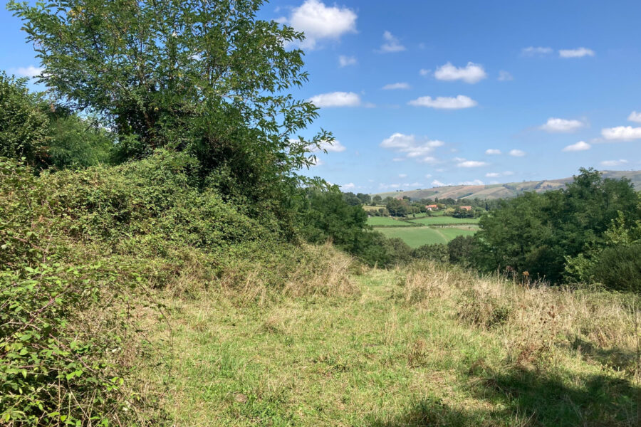 Terrain à vendre à Hasparren