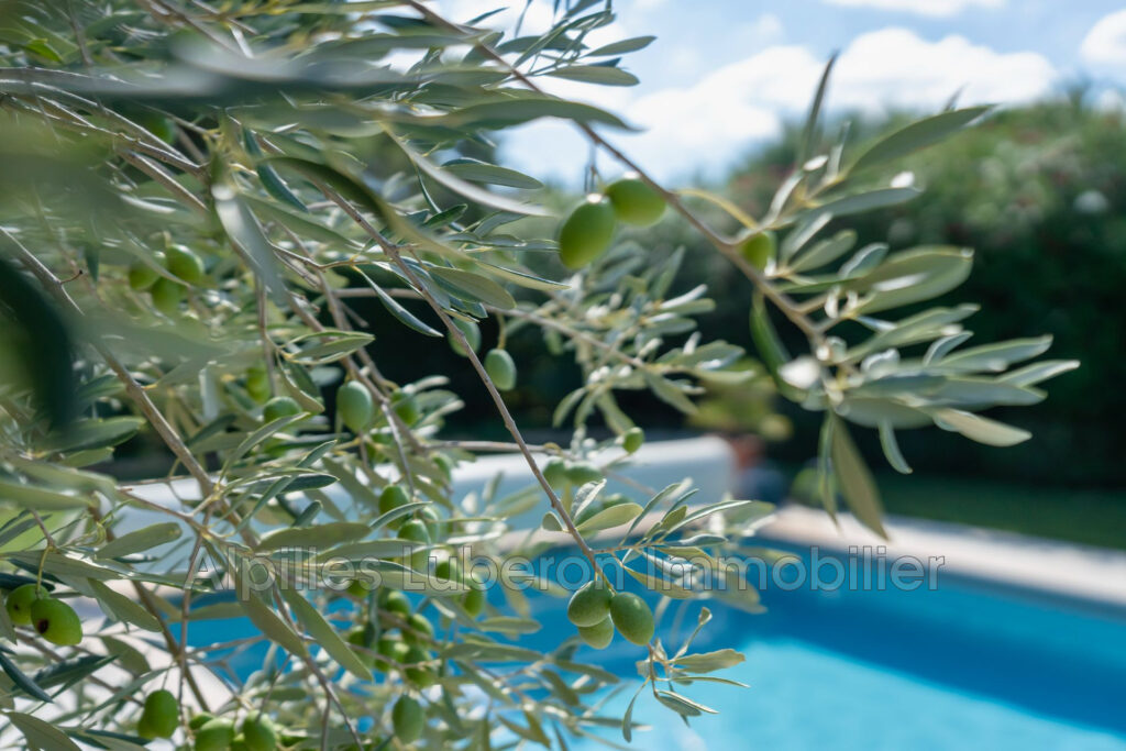 location saisonnière  – 6 pièces – 4 chambres – 4  – 200.00 m²