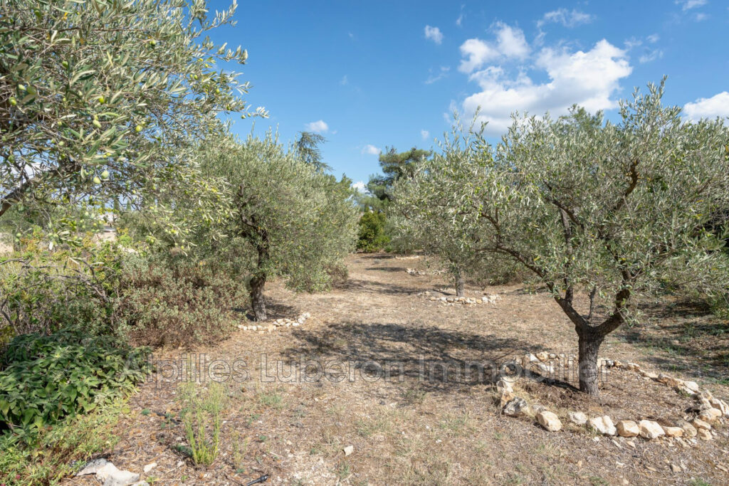 location saisonnière  – 6 pièces – 4 chambres – 4  – 200.00 m²