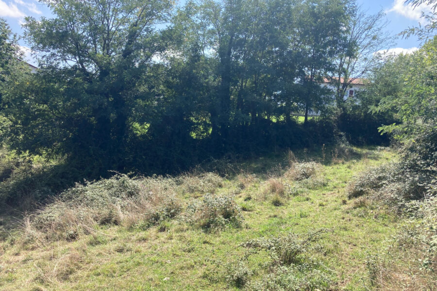 Terrain à vendre à Hasparren