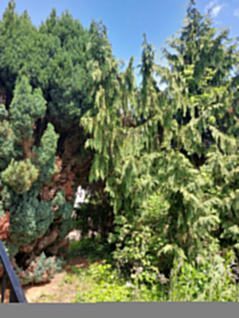 Maison sur les hauteurs de Saint-Yorre avec vue remarquable  – 5 pièces – 2 chambres – 6  – 100 m²