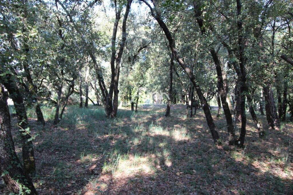 BASTIDE EN PIERRE 190M² LORGUES – 5 pièces – 4 chambres – 4  – 189.00 m²