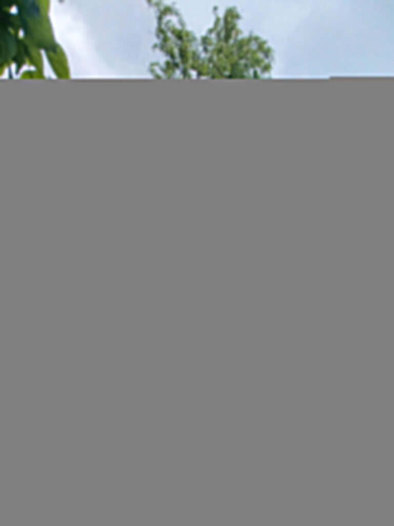 MAS RENOVE DE 14 PIECES ET 3 HABITATIONS A LA CAMPAGNE – 14 pièces – 11 chambres – 6  – 308 m²