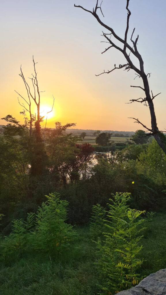 Ensemble immobilier de deux chalets de 26 m2 et 53 m2 habita – 4 pièces – 3 chambres – NR  – 80 m²