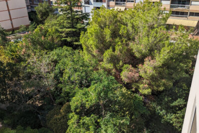 T2  meublé rue Borde 13008 + terrasse + parking – 2 pièces – 1 chambre – 38.13 m²