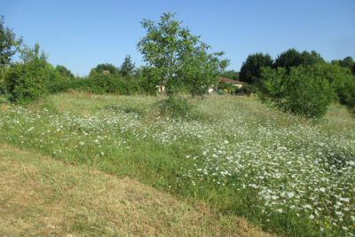 DORDOGNE- COUX ET BIGAROQUE- TERRAIN – NR pièces – NR chambres