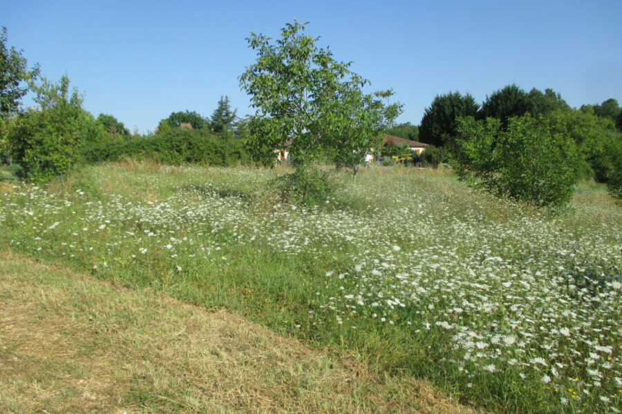 Terrain à vendre à Coux et biragoque