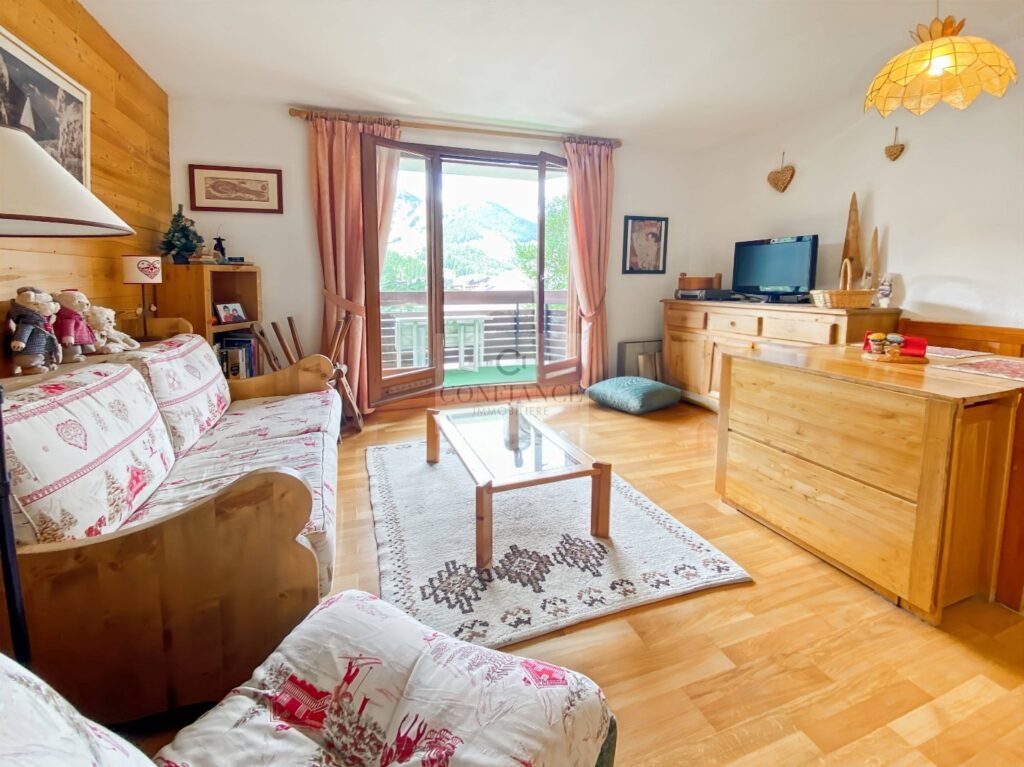 Appartement – 11 pièces – 1 chambre – 10  – 31 m²