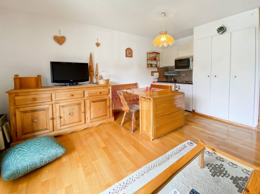 Appartement – 11 pièces – 1 chambre – 10  – 31 m²
