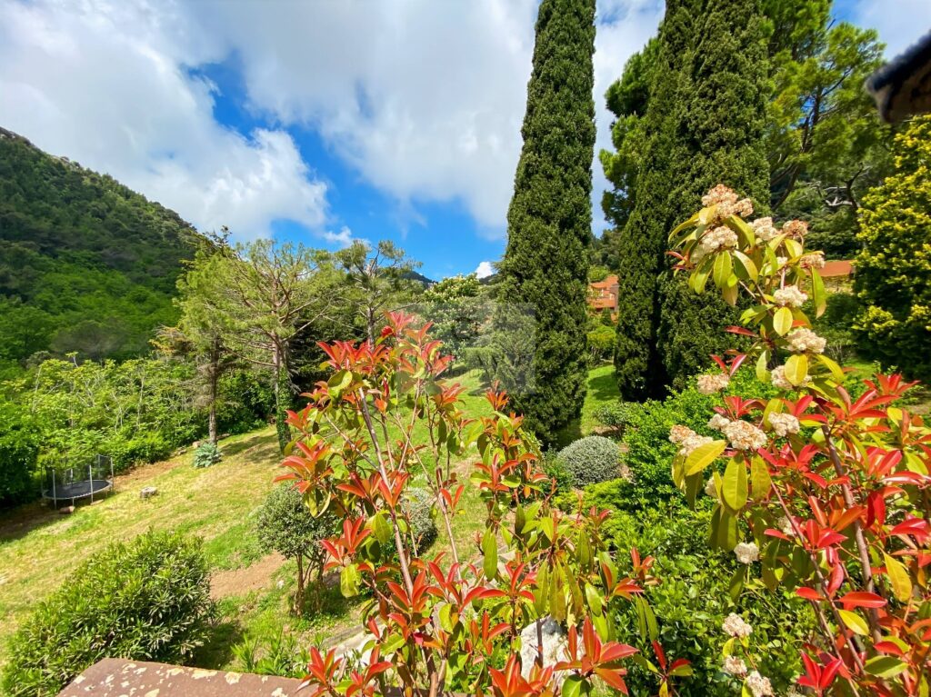 Appartement – 2 pièces – 1 chambre – 10  – 60 m²