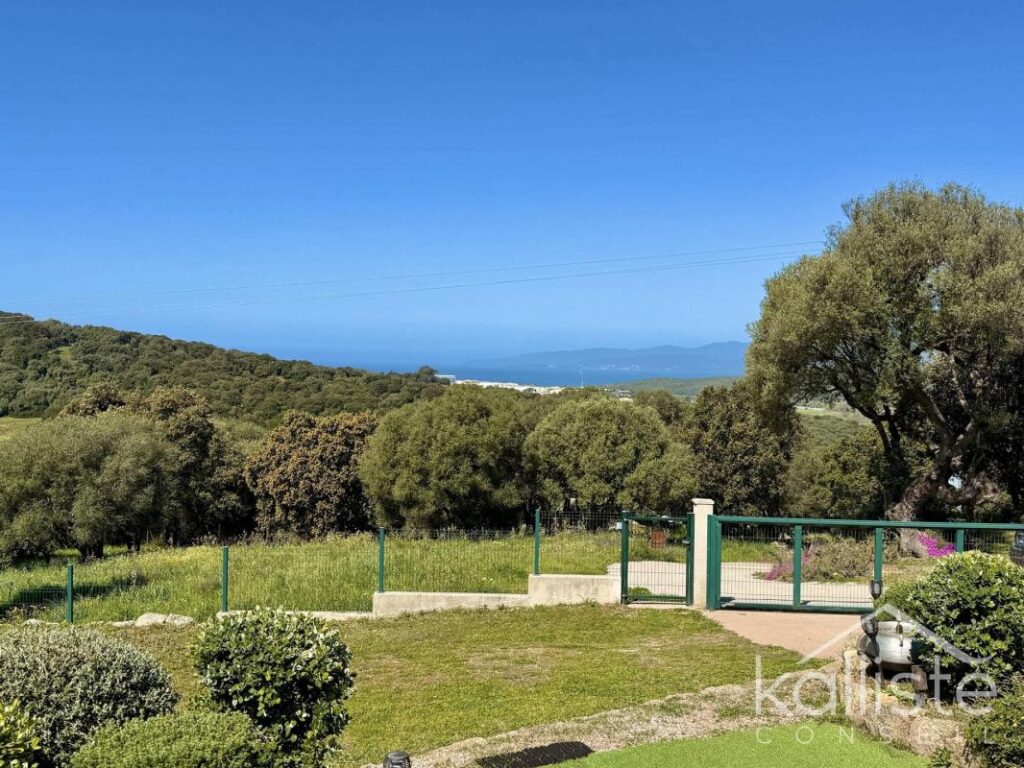 Deux maisons en parfait état au cœur du maquis avec piscine et vue mer – Propriano – 7 pièces – 4 chambres – 194 m²