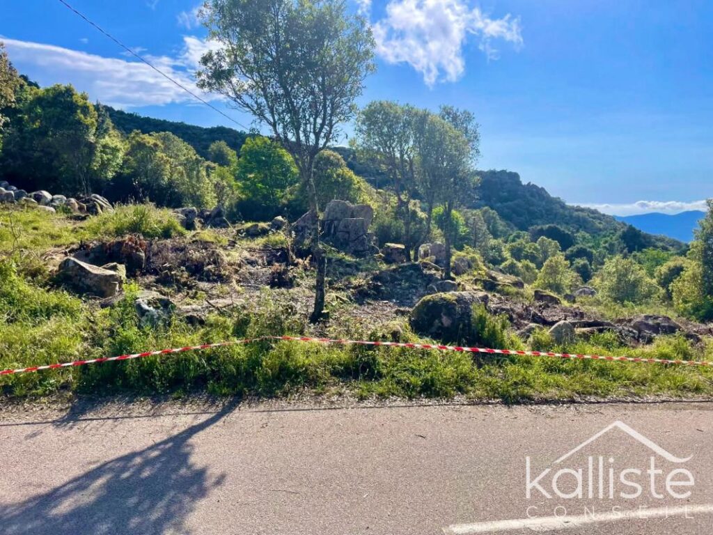 Terrain constructible de 2400 m² à Olmeto, lieu-dit Miluccia – NR pièces – NR chambres – 2400 m²