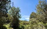 Terrain constructible de 2400 m² à Olmeto, lieu-dit Miluccia – NR pièces – NR chambres – 2400 m²