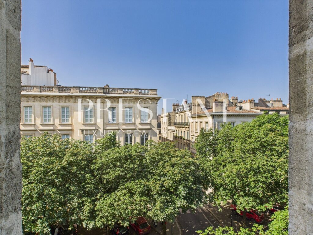 Appartement – 2 pièces – 1 chambre – 10  – 55 m²