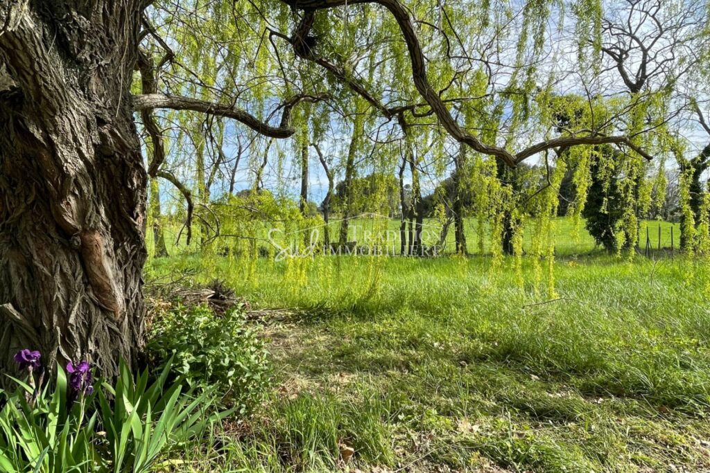 ST REMY DE PROVENCE – AU CALME – 7 pièces – 4 chambres – 143.06 m²