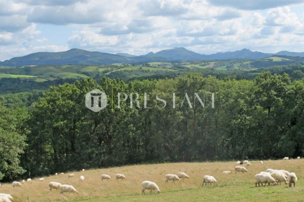 Maison – 9 pièces – 7 chambres – 14 voyageurs – 410 m²