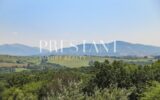 Maison en location vacances à Briscous — Vue nature — photo 1