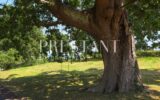 Maison en location vacances à Briscous — Vue nature — photo 8