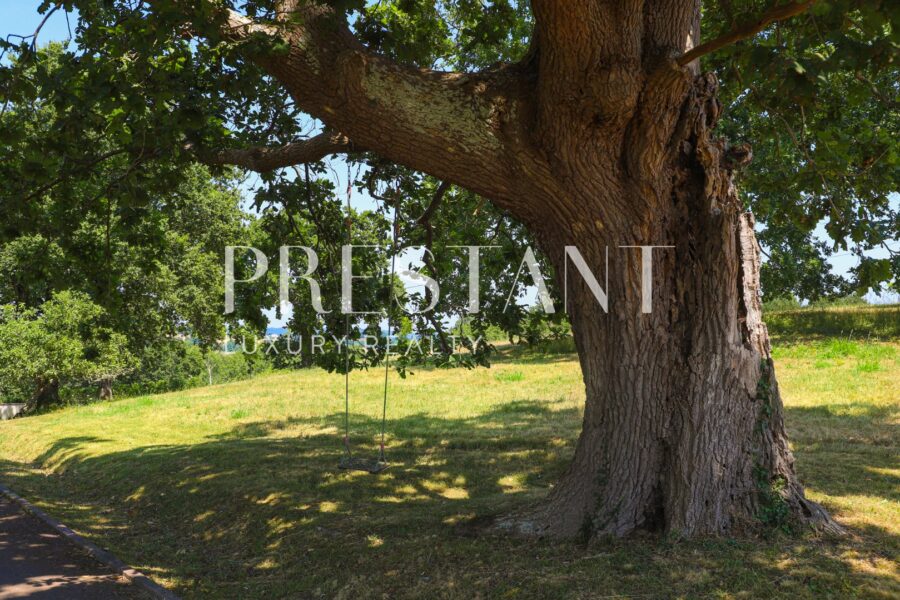 Maison en location vacances à Briscous — Vue nature — photo 8