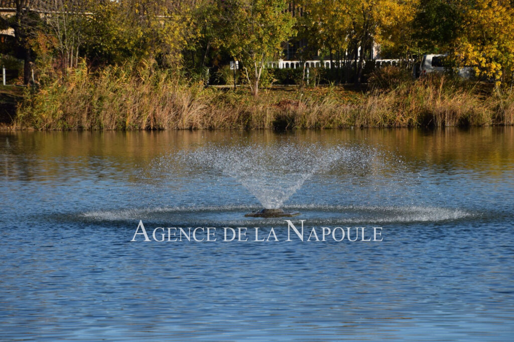 vente appartement 2 Pièce(s) – 2 pièces – 1 chambre – 4  – 38.00 m²