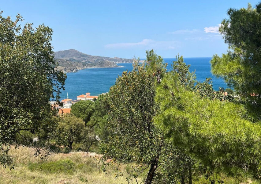 Maison à vendre à Banyuls-sur-mer