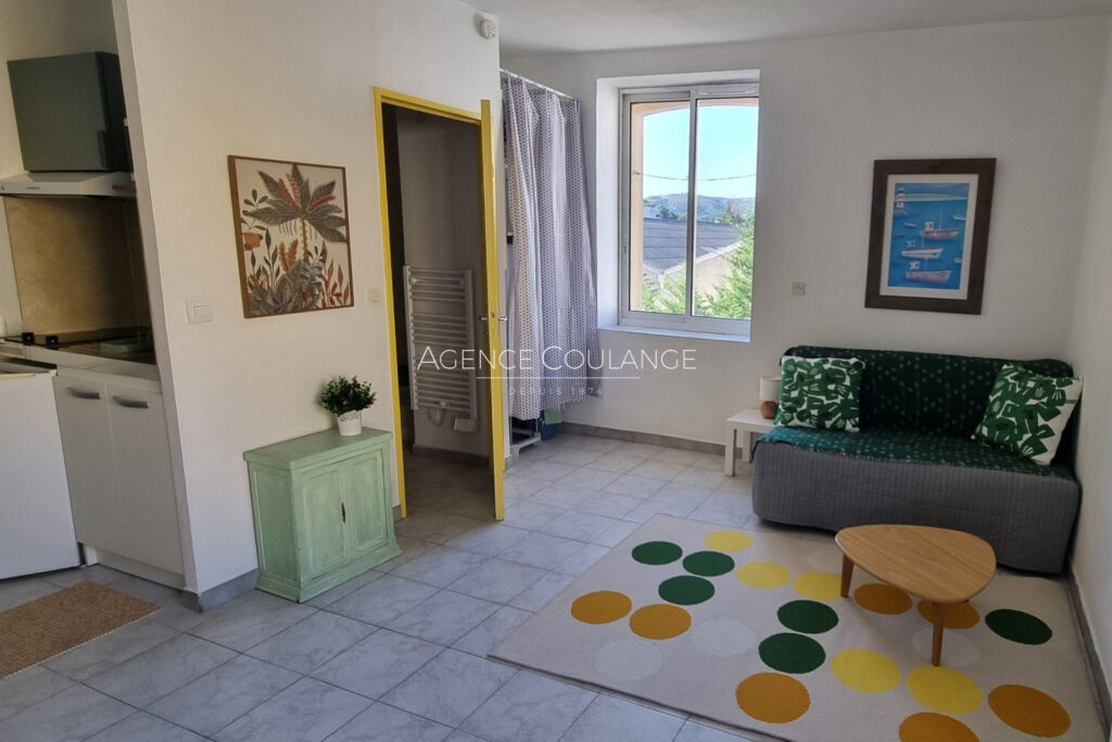 location appartement 1 Pièce(s) – 1 pièce – NR chambres – 21.14 m²