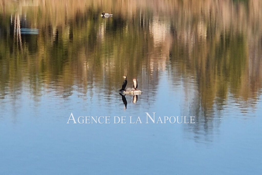 vente appartement 2 Pièce(s) – 2 pièces – 1 chambre – 4  – 38.00 m²