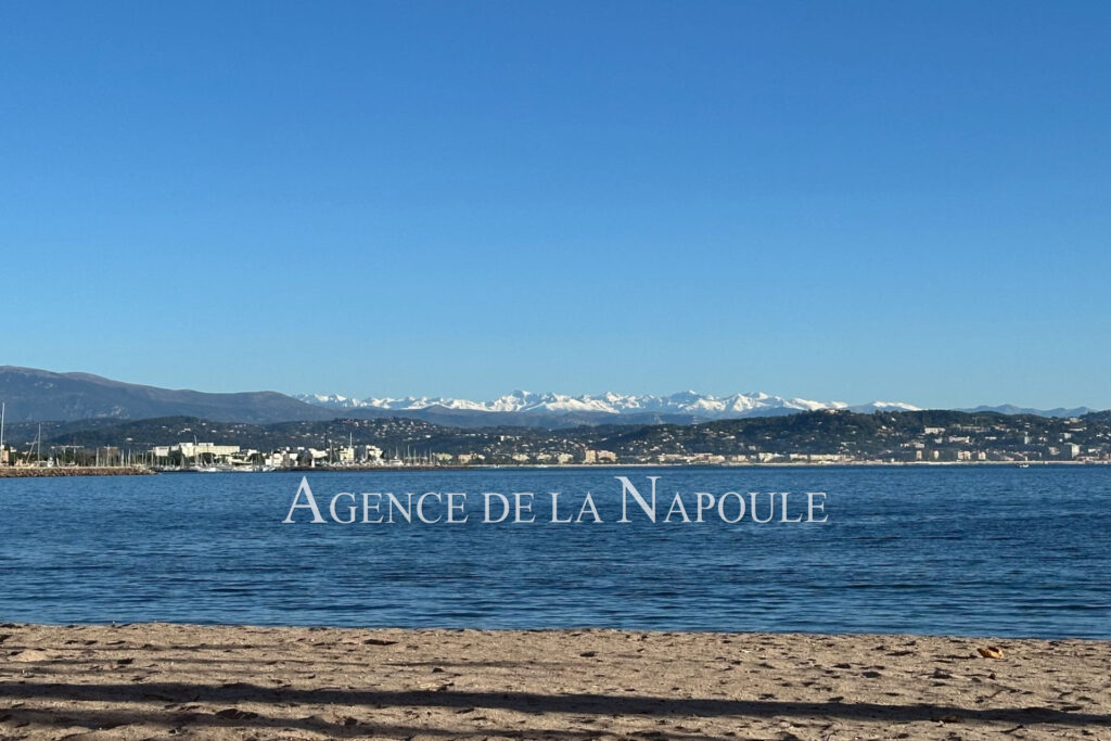 vente appartement 3 Pièce(s) – 3 pièces – 1 chambre – 50.02 m²