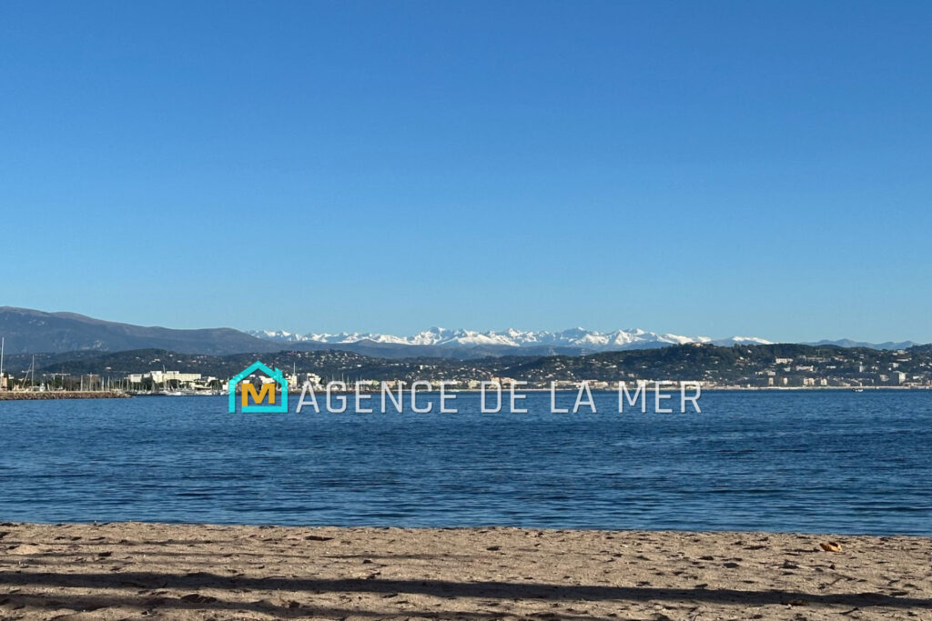 vente appartement 3 Pièce(s) – 3 pièces – 1 chambre – 50.02 m²