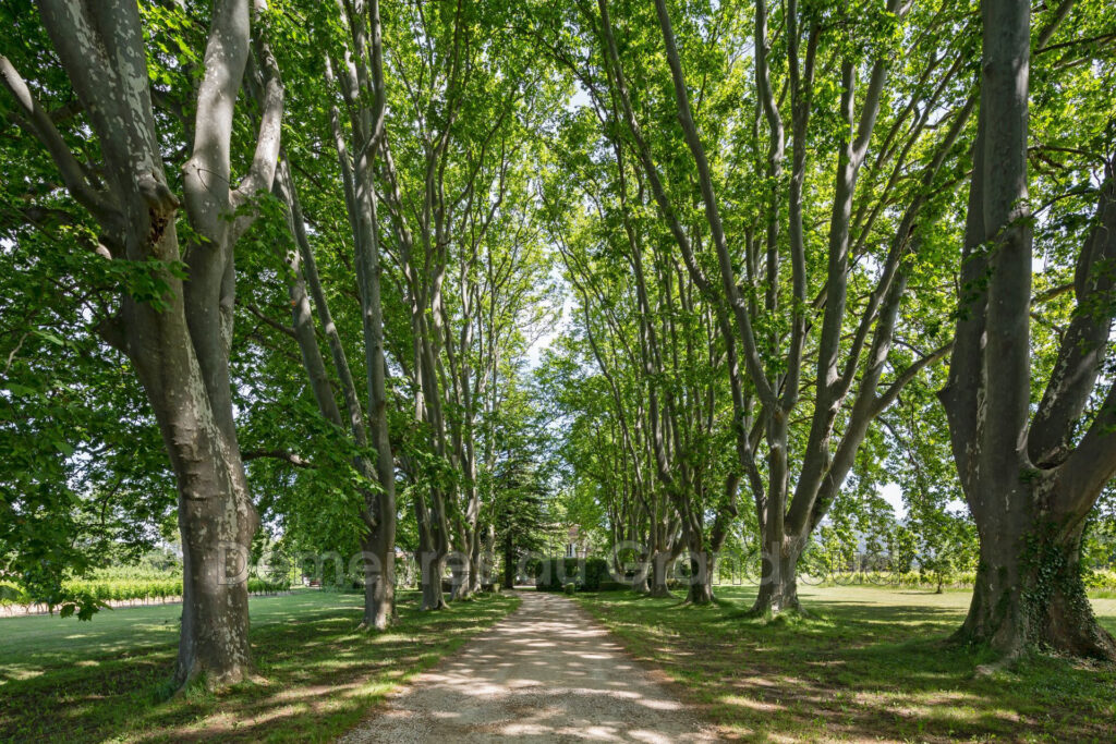 vente maison de maître 16 Pièce(s) – 16 pièces – 5 chambres – 350.00 m²