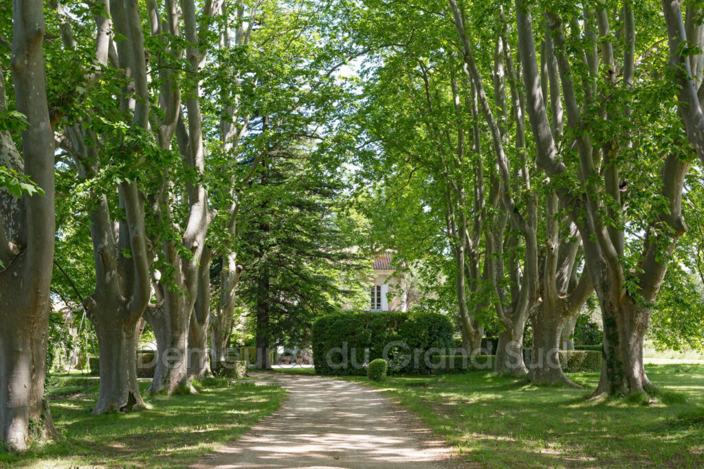 vente maison de maître 16 Pièce(s) – 16 pièces – 5 chambres – 350.00 m²