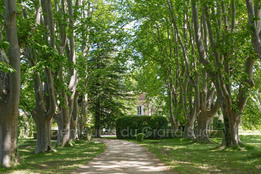 Maison à vendre à Gigondas