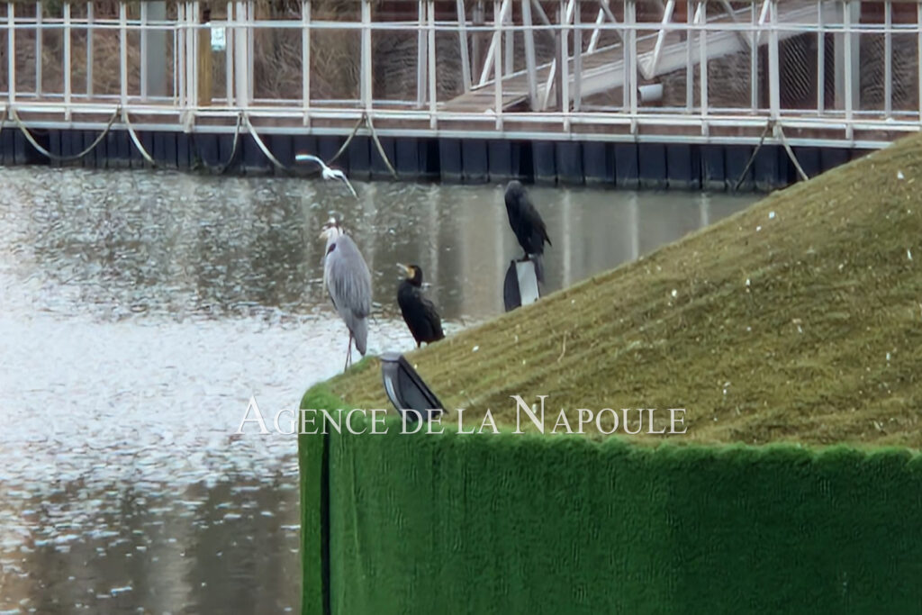 vente appartement 2 Pièce(s) – 2 pièces – 1 chambre – 36.00 m²