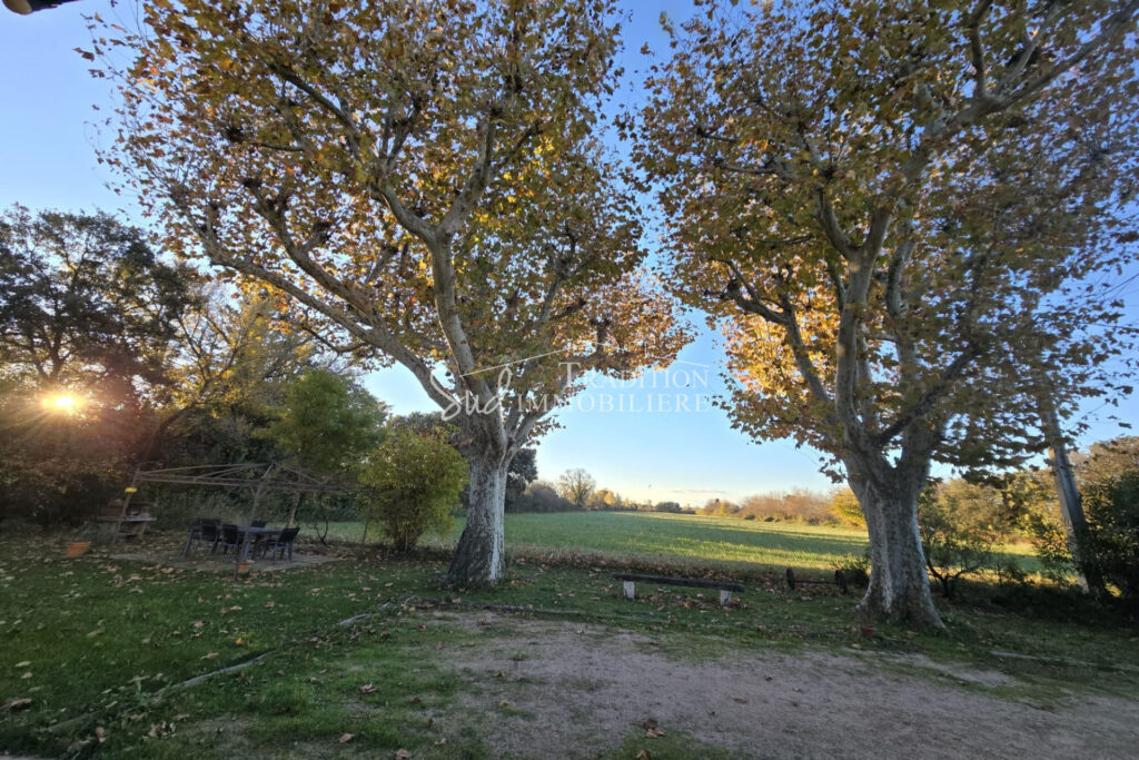 MAS EN CAMPAGNE DU VILLAGE DE MOURIES  – 2 pièces – NR chambres – 235.00 m²