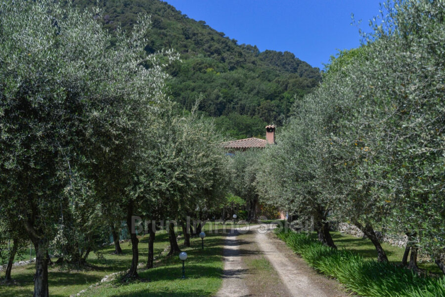Maison à vendre à Grasse