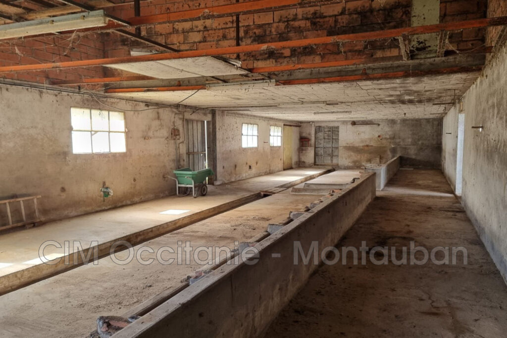 vente hangar – NR pièces – NR chambres – 400.00 m²