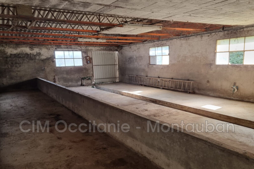 vente hangar – NR pièces – NR chambres – 400.00 m²