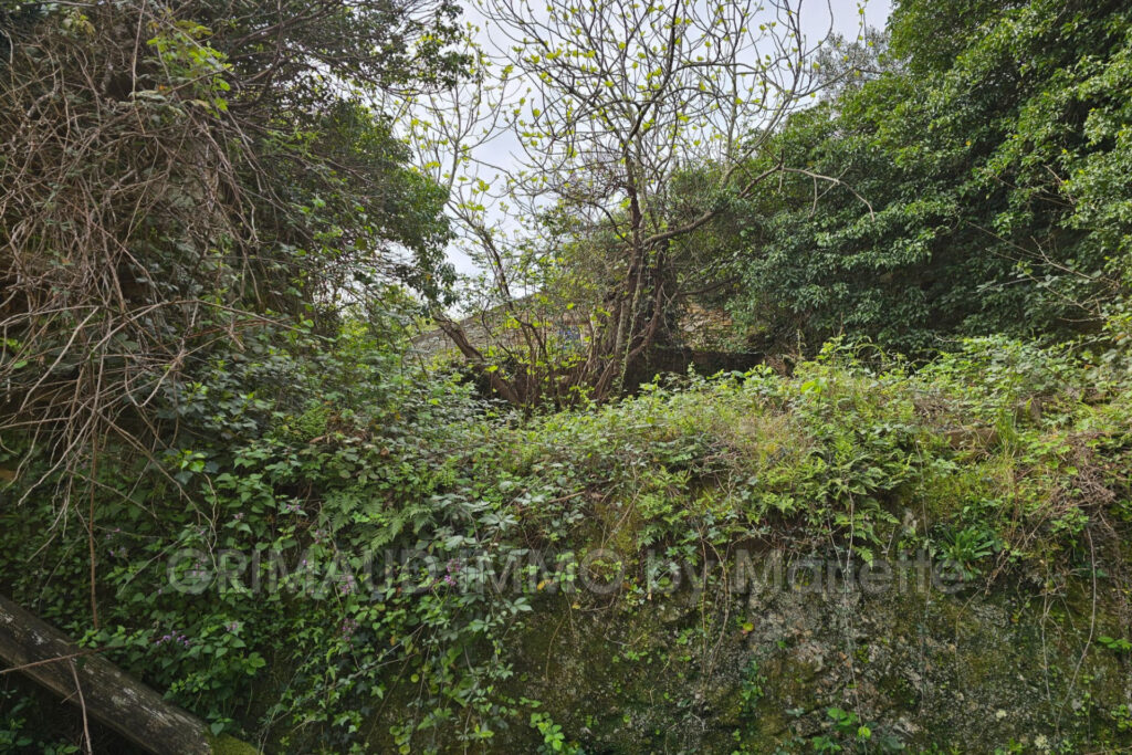 vente maison de hameau – NR pièces – 3 chambres – 140.00 m²