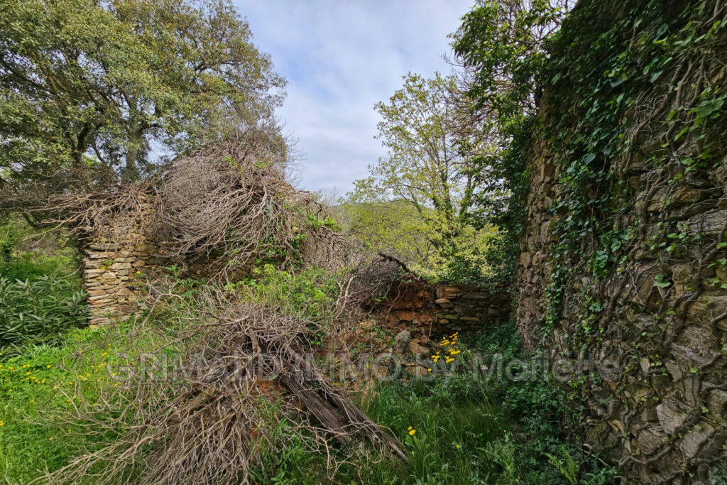 vente maison de hameau – NR pièces – 3 chambres – 140.00 m²