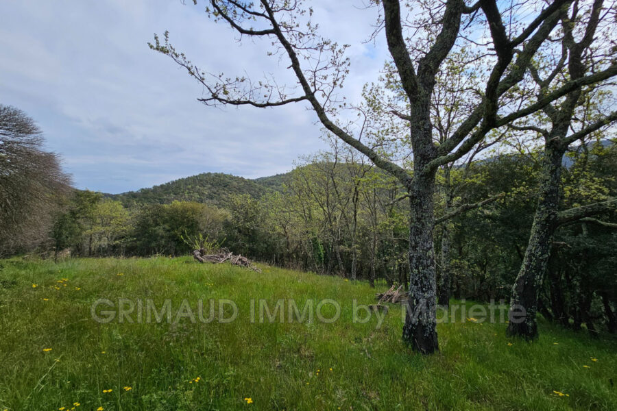 Maison à vendre à La garde-freinet