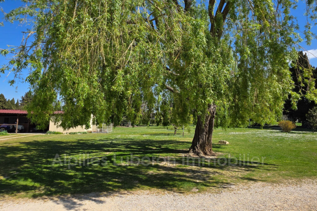 vente maison 4 Pièce(s) – 4 pièces – 3 chambres – 220.00 m²