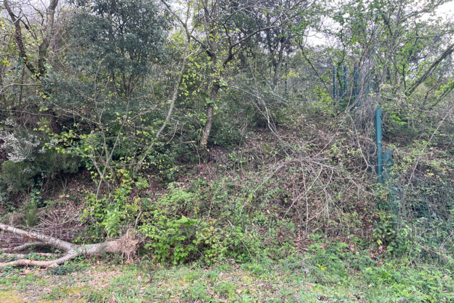 Terrain à vendre à Céret