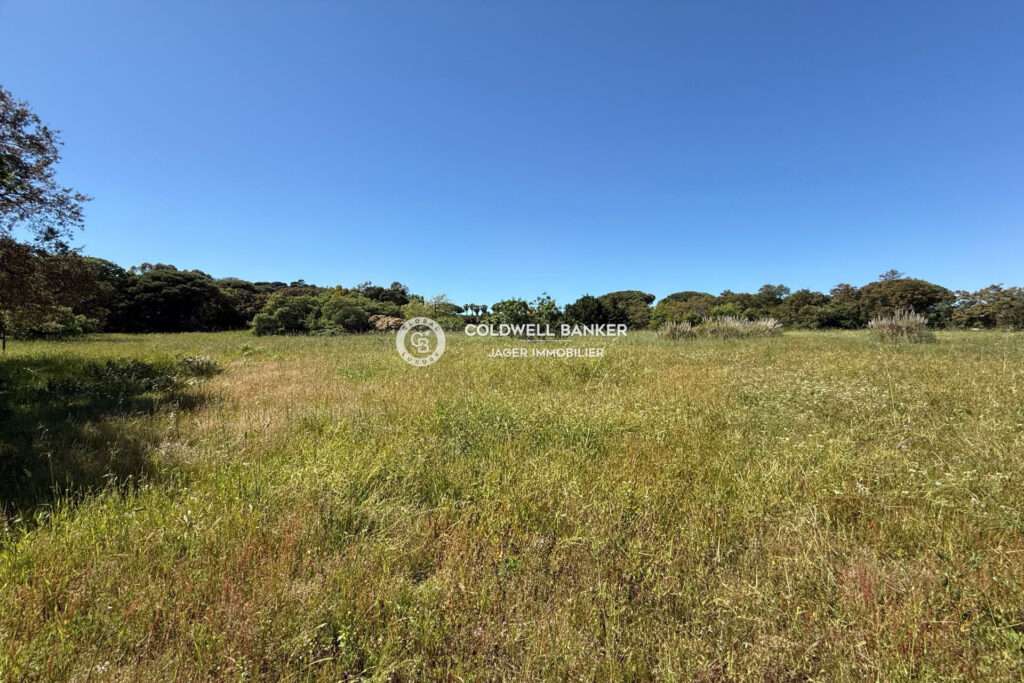 Propriété de 2,7 hectares avec maison à rénover de 300m2 + mai – 8 pièces – 7 chambres – 4  – 850.00 m²