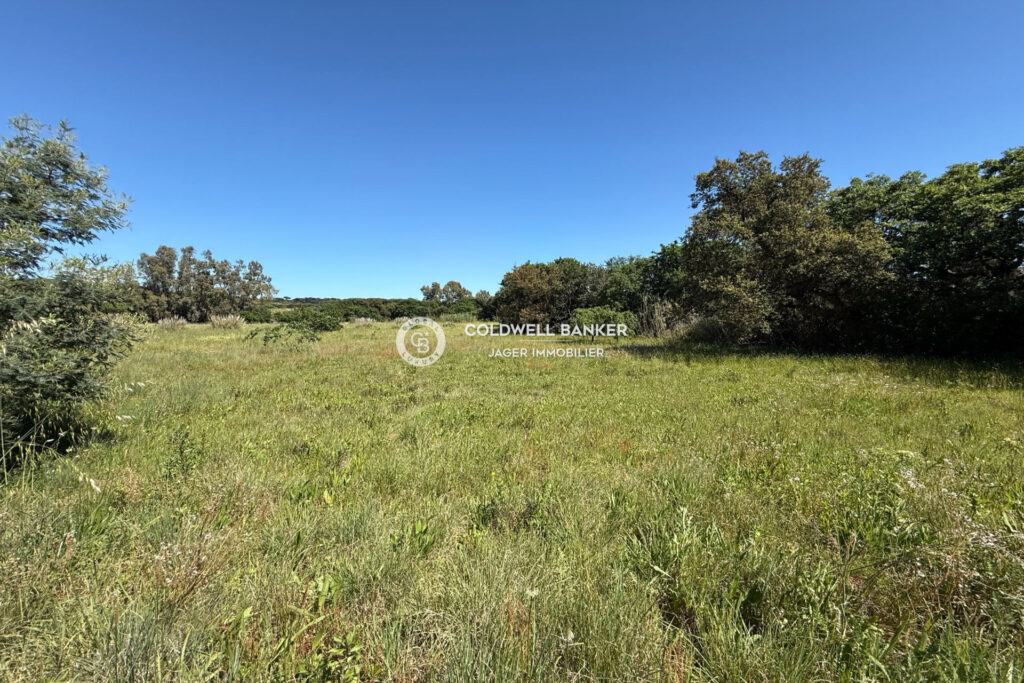 Propriété de 2,7 hectares avec maison à rénover de 300m2 + mai – 8 pièces – 7 chambres – 4  – 850.00 m²