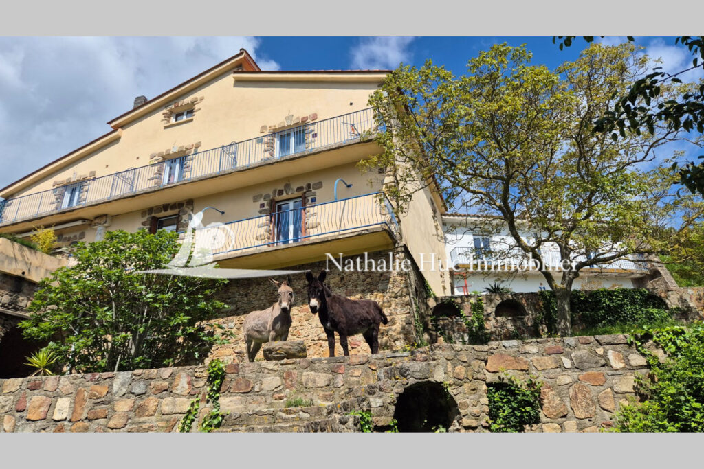 vente propriété 6 Pièce(s) – 6 pièces – 7 chambres – 390.00 m²